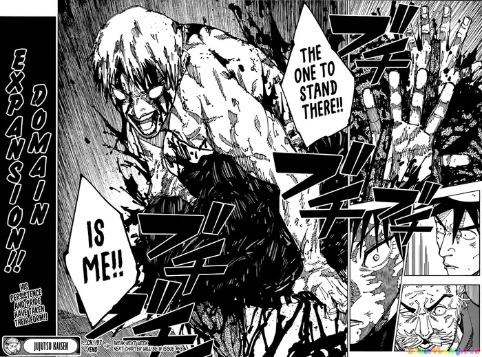 Jujutsu Kaisen Chapter 197 image 17_optimized